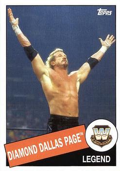 Diamond Dallas Page
