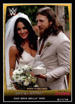 Daniel Bryan / Brie Bella