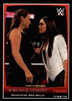 Stephanie McMahon / Brie Bella