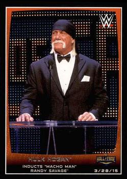Hulk Hogan