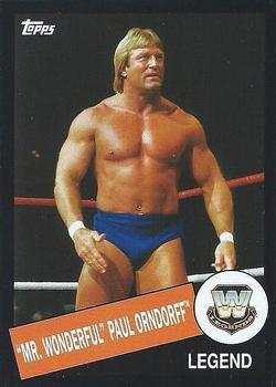 Paul Mr. Wonderful Orndorff