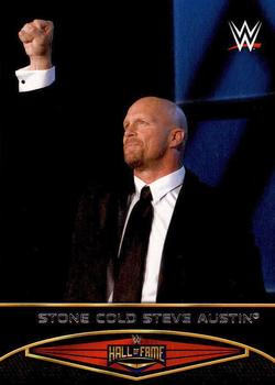 Stone Cold Steve Austin