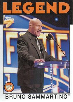 Bruno Sammartino