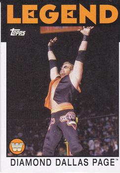 Diamond Dallas Page