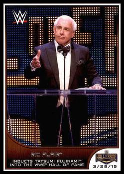 Ric Flair