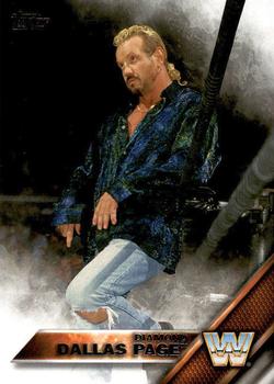 Diamond Dallas Page