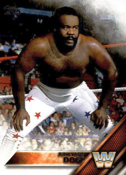 Junkyard Dog