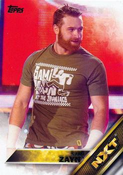 Sami Zayn