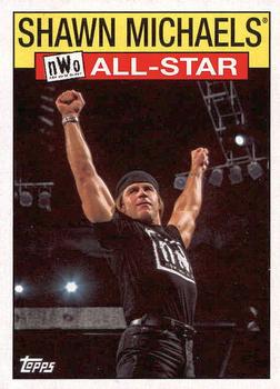 Shawn Michaels