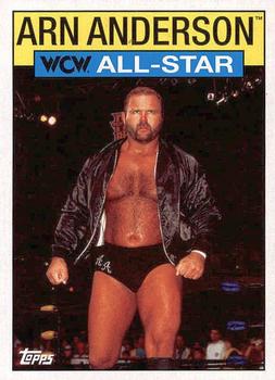 Arn Anderson