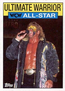 Ultimate Warrior