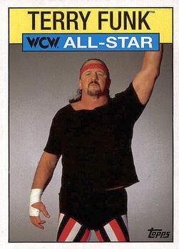 Terry Funk