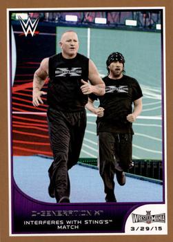 D-Generation X