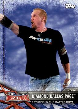 Diamond Dallas Page