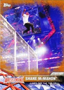 Shane McMahon