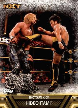 #F-40 Hideo Itami