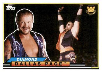 Diamond Dallas Page