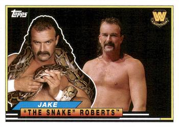 Jake "The Snake" Roberts