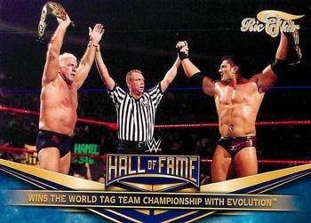 Ric Flair