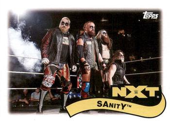 SAnitY 