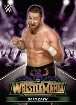 Sami Zayn