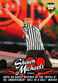 Acts as Guest Referee in the Triple H vs. Undertaker Hell in a Cell Match
