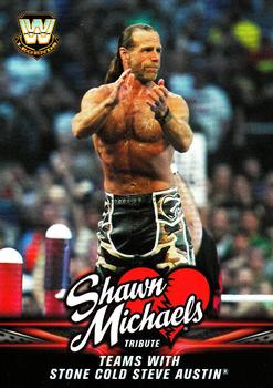 Teams with Stone Cold Steve Austin