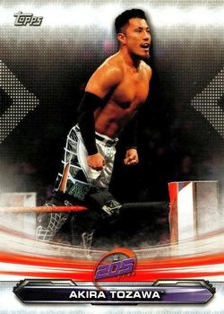 Akira Tozawa