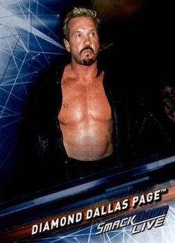 Diamond Dallas Page