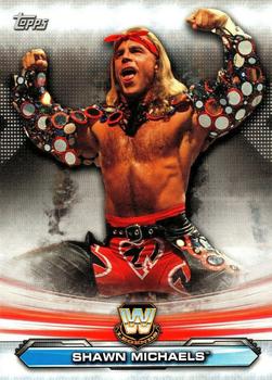 Shawn Michaels