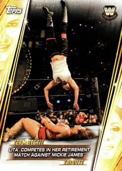 Lita Competes in Her Retirement Match Against Mickie James 
