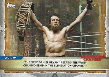 "The New" Daniel Bryan Retains the WWE Championship in the Elimination Chamber 