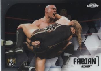Fabian Aichner