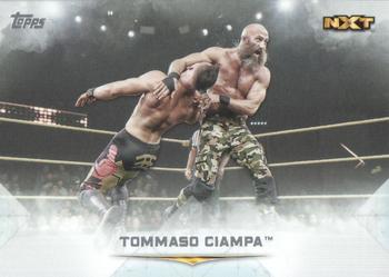 Tommaso Ciampa