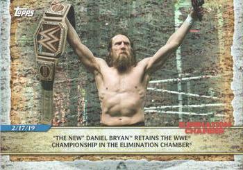 "The New" Daniel Bryan Retains the WWE Championship in the Elimination Chamber 