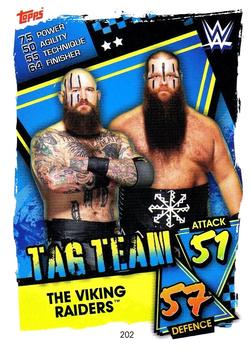 The Viking Raiders