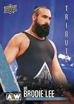 Mr. Brodie Lee