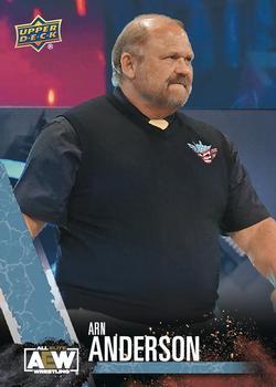 Arn Anderson