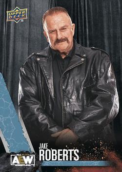 Jake Roberts