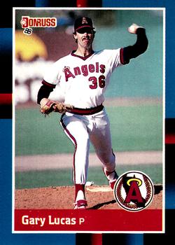 Gary Lucas