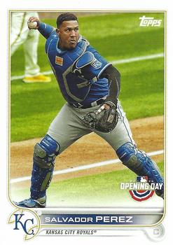 Salvador Perez