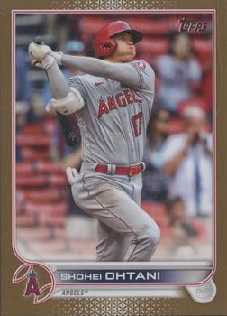 Shohei Ohtani