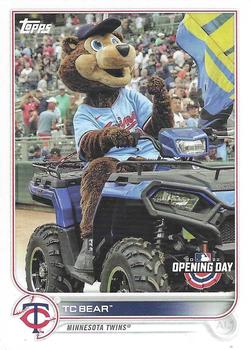 TC Bear