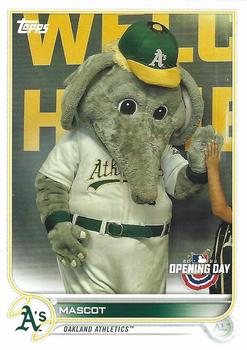 Stomper