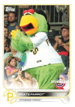 Pirate Parrot