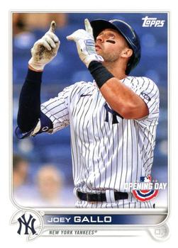 Joey Gallo