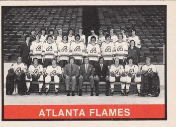 Atlanta Flames Team