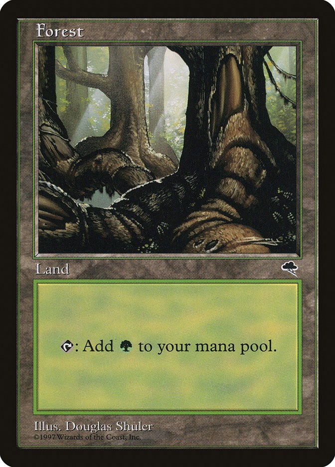 Forest (Pond)