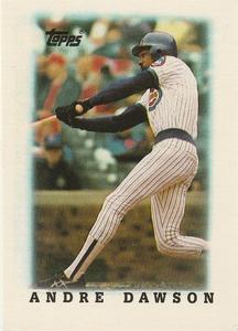 #43 Andre Dawson