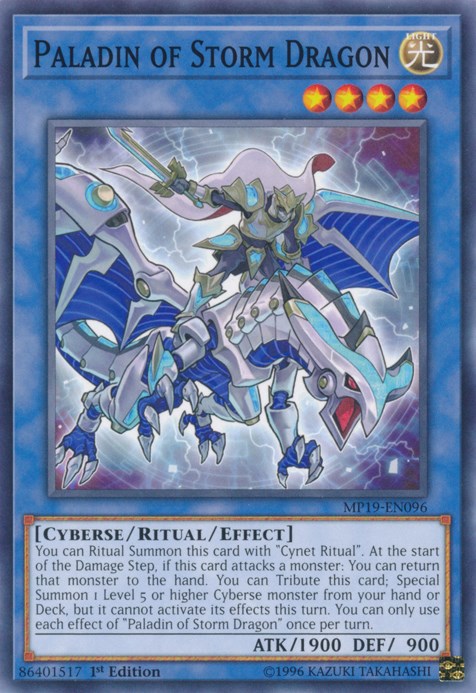 Paladin of Storm Dragon